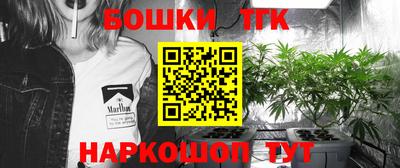 крисы Ипатово
