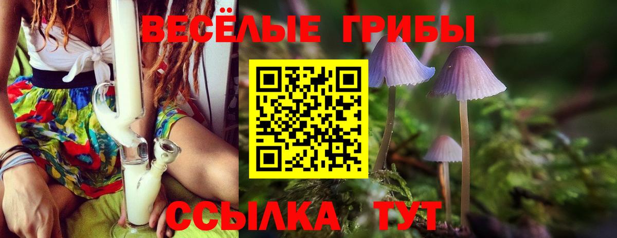 Лангепас  Псилоцибиновые грибы Psilocybe  Вход с VPN 
